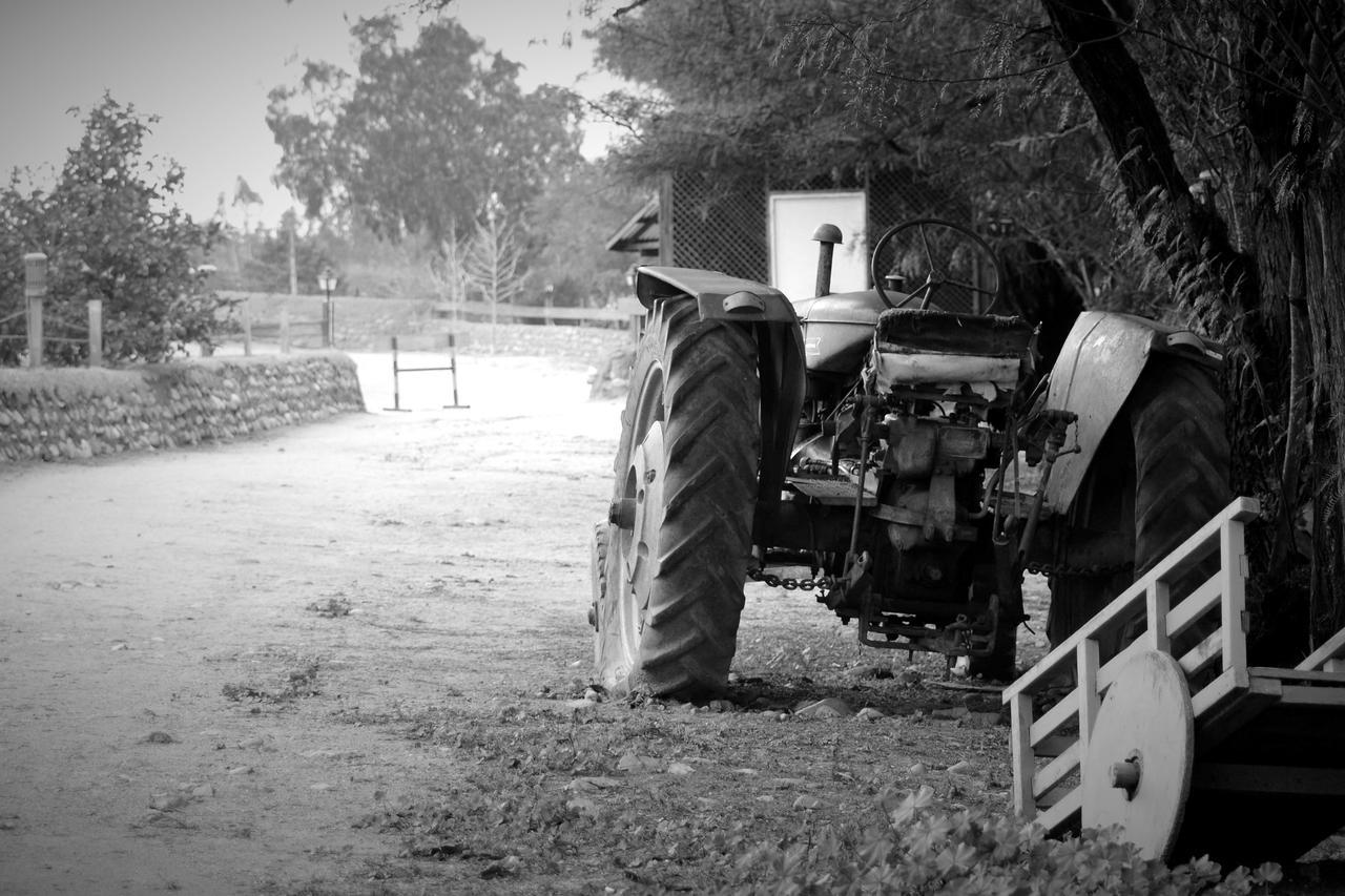 Hotel Hacienda Santa Cristina à Ovalle Extérieur photo